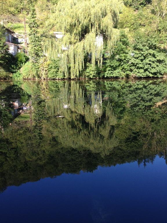 Mon Plaisir - Chambres D'Hotes Villefranche-de-Rouergue Dış mekan fotoğraf